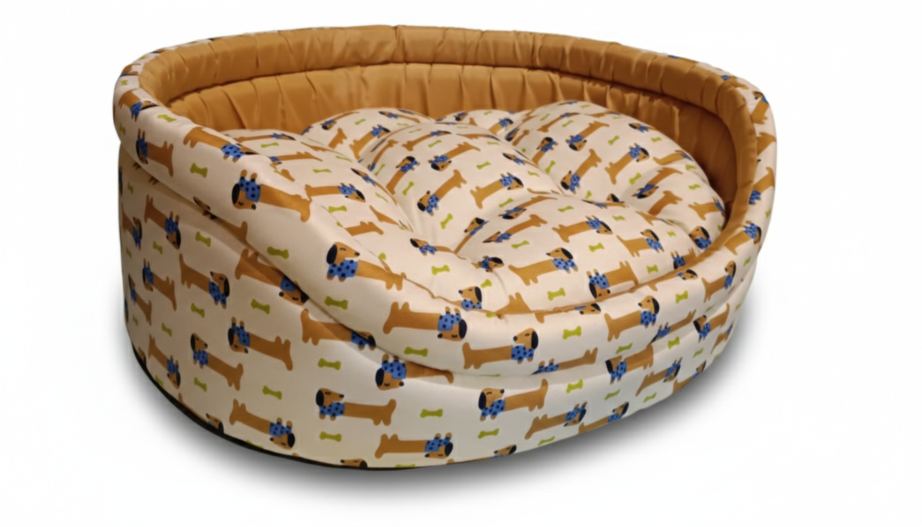 Dachshund (Salsicha) Raças